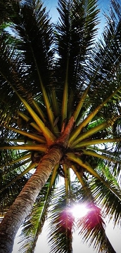 Hotel, restaurant, bar, kuching, Sarawak