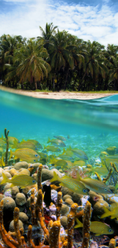 ボルネオ島サラワク州クチンの最新情報