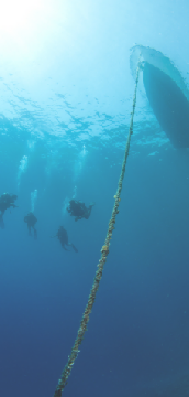 DIVE DIVE DIVE in Kuching:s Shipwreck