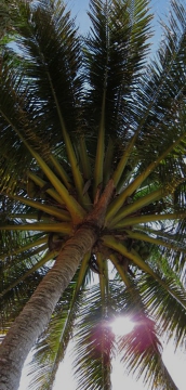 アクアベースのパートナーサイトリンク